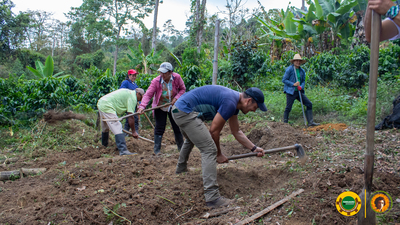 La reforma agraria y la tenencia de la tierra en Colombia-image