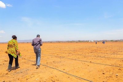 A new wave of land grabs strikes Tanzania-image
