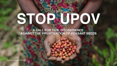 A call for civil disobedience against the privatisation of peasant seeds-image