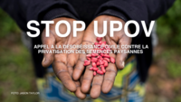 Appel à la désobéissance civile contre la privatisation des semences paysannes-image