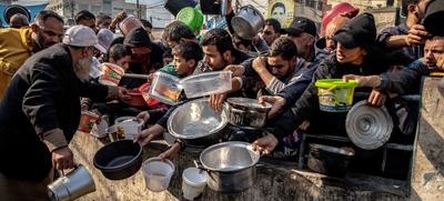 Urgent call to declare Gaza a disaster-stricken area suffering from famine, pollution and spread of diseases-image