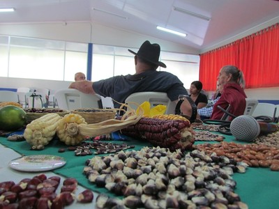 Peoples of Mesoamerica in defence of seeds and maize-image