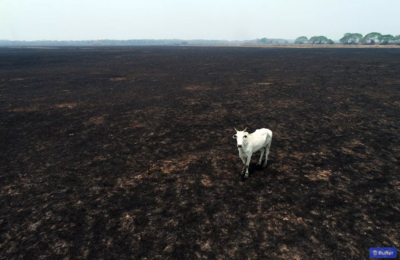 Carbon farming’s hot air won’t cool the planet-image