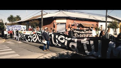 Resistance in Chile against Coexca and its factory pig farms-image