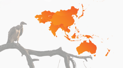 Online event: Fighting off vulture finance in the Asia Pacific-image