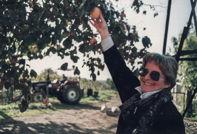 In honour of Dorothy Myers-image