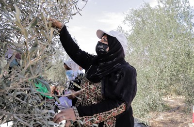 La sociedad civil pide la liberación urgente de los miembros de La Vía Campesina en Palestina-image