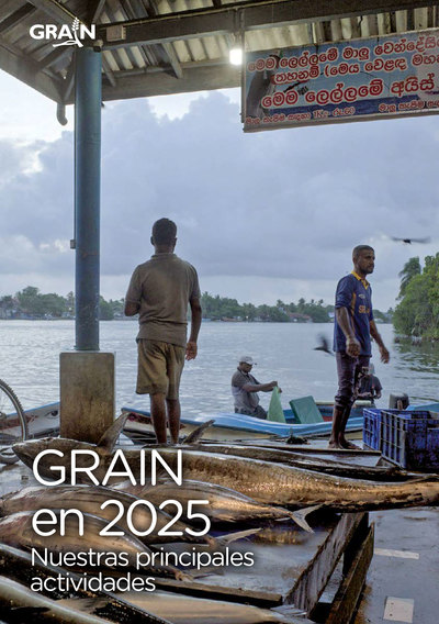 GRAIN en 2025: nuestras principales actividades-image