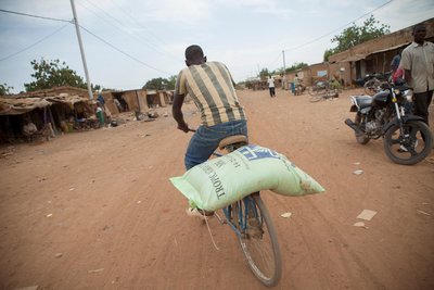 Les systèmes alimentaires africains peuvent-ils prospérer sans engrais chimiques ?-image