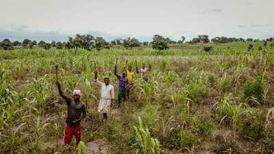 Amid the fertiliser crisis, Africa has a chemical-free option: agroecology
