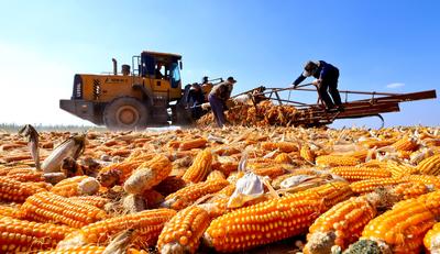 Capturing the seed: China’s agribusiness expansion at home and abroad-image