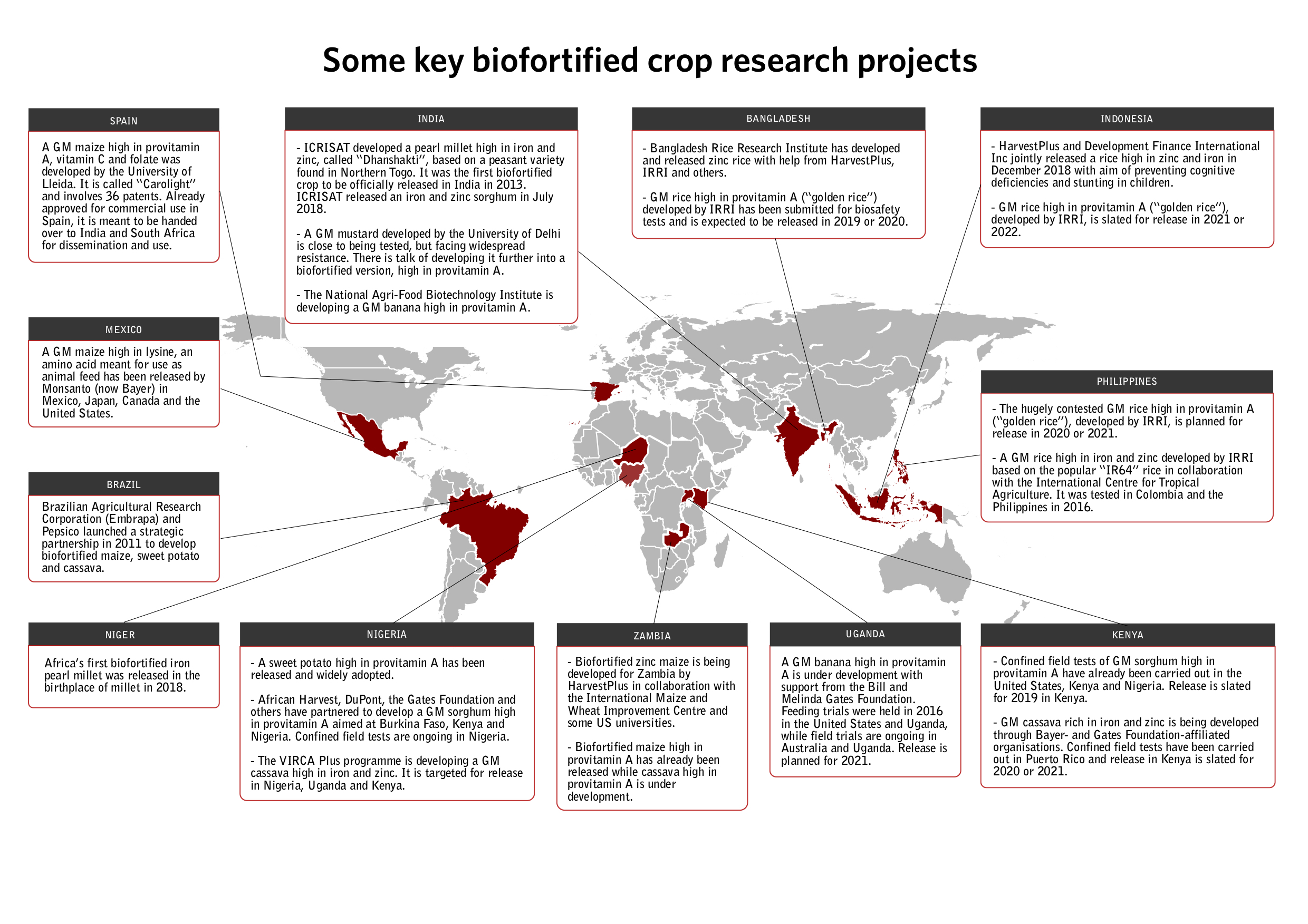 Grain What S Wrong With Biofortified Crops The Fight For