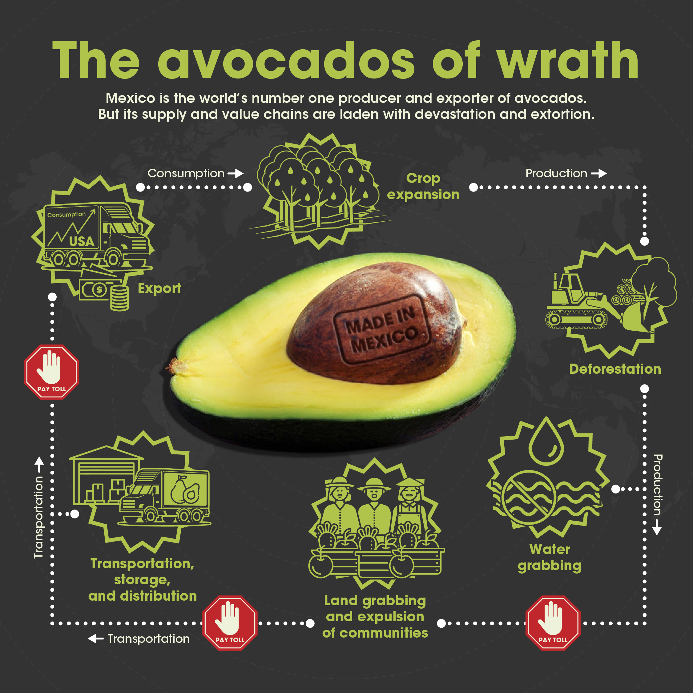 Avocados  The Packer